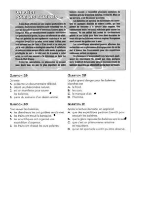 CE 82 TEXTES (Fati Islam).pdf