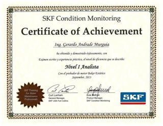 SKF Condition Monitoring Nivel I