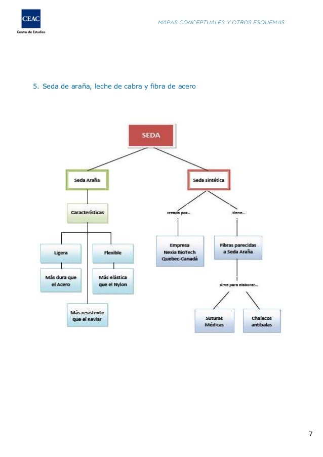 Ejercicios para practicar Mapas conceptuales