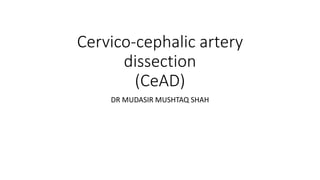 Cervico-cephalic artery
dissection
(CeAD)
DR MUDASIR MUSHTAQ SHAH
 