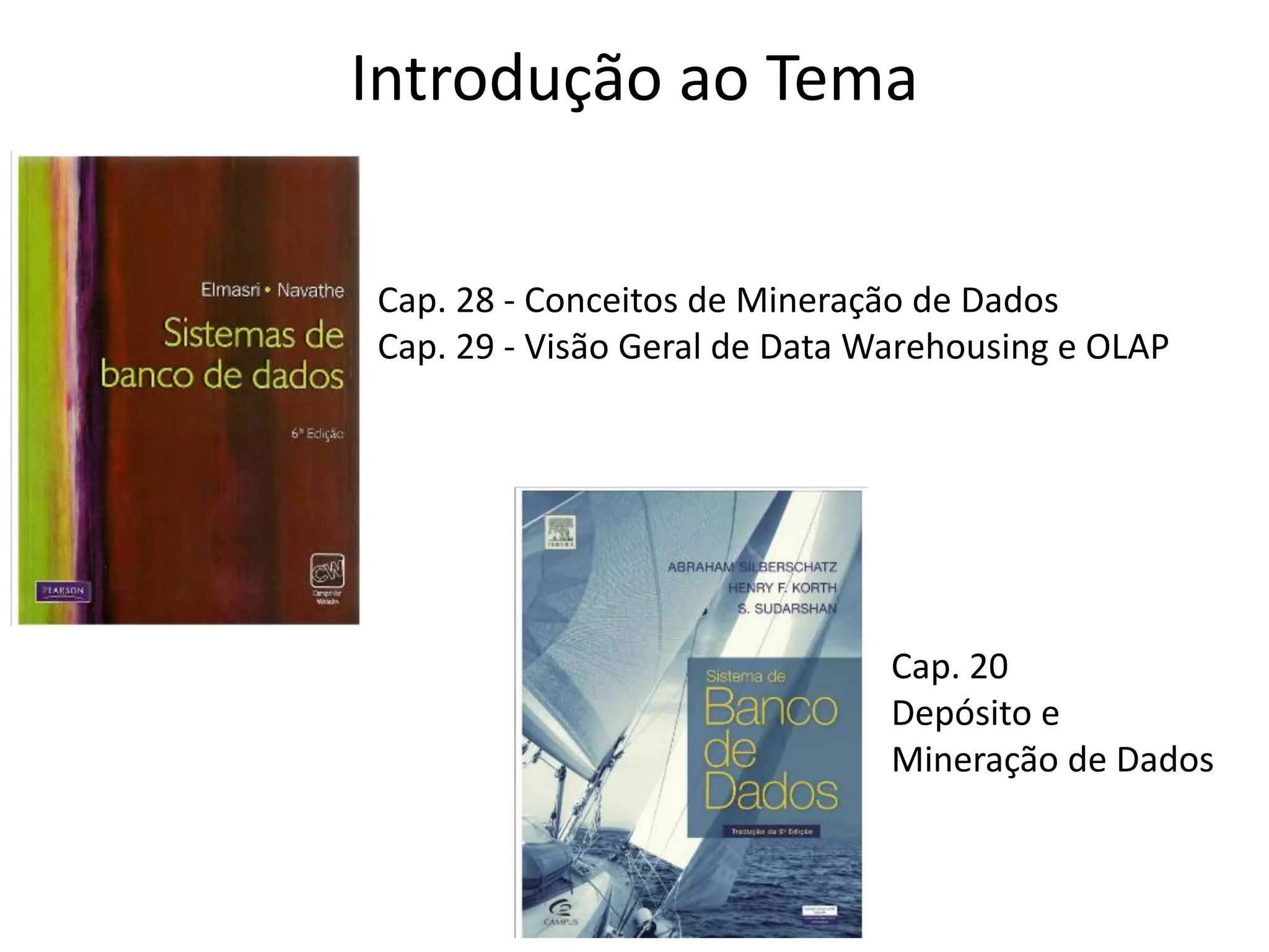 Introdução ao Tema
Cap. 28 - Conceitos de Mineração de Dados
Cap. 29 - Visão Geral de Data Warehousing e OLAP
Cap. 20
Depósito e
Mineração de Dados
 