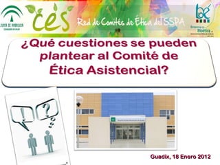 Guadíx, 18 Enero 2012 