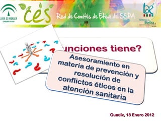 Guadíx, 18 Enero 2012 