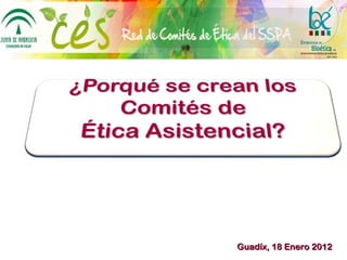 Guadíx, 18 Enero 2012 