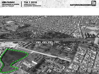 NATURHUMANISMO
UM-FADAU
UNIVERSIDAD de MORÓN
FACULTAD de ARQUITECTURA
DISEÑO, ARTE y URBANISMO
TiA 1 2016
ARQUITECTURA 1
A...