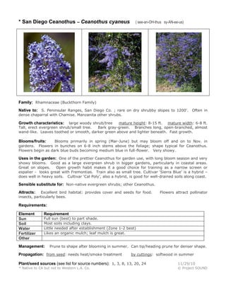 * San Diego Ceanothus – Ceanothus cyaneus

( see-an-OH-thus sy-AN-ee-us)

Family: Rhamnaceae (Buckthorn Family)
Native to: S. Peninsular Ranges, San Diego Co. ; rare on dry shrubby slopes to 1200'. Often in
dense chaparral with Chamise. Manzanita other shrubs.

large woody shrub/tree
mature height: 8-15 ft. mature width: 6-8 ft.
Tall, erect evergreen shrub/small tree.
Bark gray-green. Branches long, open-branched, almost
wand-like. Leaves toothed or smooth, darker green above and lighter beneath. Fast growth.

Growth characteristics:

Blooms primarily in spring (Mar-June) but may bloom off and on to Nov. in
gardens. Flowers in bunches on 6-8 inch stems above the foliage; shape typical for Ceanothus.
Flowers begin as dark blue buds becoming medium blue in full-flower. Very showy.

Blooms/fruits:

Uses in the garden: One of the prettier Ceanothus for garden use, with long bloom season and very
showy blooms. Good as a large evergreen shrub in bigger gardens, particularly in coastal areas.
Great on slopes.
Open growth habit makes it a good choice for training as a narrow screen or
espalier - looks great with Fremontias. Train also as small tree. Cultivar ‘Sierra Blue’ is a hybrid –
does well in heavy soils. Cultivar ‘Cal Poly’, also a hybrid, is good for well-drained soils along coast.

Sensible substitute for: Non-native evergreen shrubs; other Ceanothus.
Excellent bird habitat: provides cover and seeds for food.
insects, particularly bees.

Attracts:

Flowers attract pollinator

Requirements:
Element
Sun
Soil
Water
Fertilizer
Other

Requirement

Full sun (best) to part shade.
Most soils including clays.
Little needed after establishment (Zone 1-2 best)
Likes an organic mulch; leaf mulch is great.

Management:

Prune to shape after blooming in summer. Can tip/heading prune for denser shape.

Propagation: from seed: needs heat/smoke treatment

by cuttings: softwood in summer

Plant/seed sources (see list for source numbers): 1, 3, 8, 13, 20, 24

11/29/10

* Native to CA but not to Western L.A. Co.

© Project SOUND

 