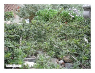 Photo by Rob Rizzardi