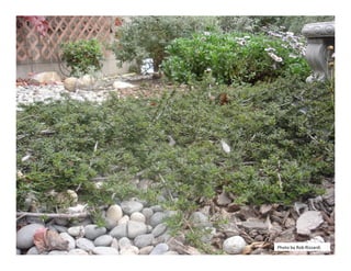 Photo by Rob Rizzardi