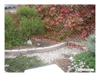 Photo by Rob Rizzardi