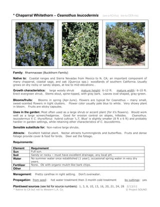 * Chaparral Whitethorn – Ceanothus leucodermis

(see-a-NO-thus lew-ko-DER-mis)

Family: Rhamnaceae (Buckthorn Family)
Native to: Coastal ranges and Sierra Nevadas from Mexico to N. CA; an important component of
many chaparral, coastal sage, and oak (Quercus spp.) woodlands of southern California. Usually
grows on dry rocky or sandy slopes, at low to mid-elevations .
large woody shrub
mature height: 6-12 ft.
mature width: 6-10 ft.
Erect evergreen shrub. Stems stout, spine-tipped, with gray bark. Leaves oval-shaped, gray-green.

Growth characteristics:

Blooms in spring (Apr-June). Flowers are typical for Ceanothus – many small,
sweet-scented flowers in tight clusters. Flower color usually pale blue to white. Very showy plant
in bloom. Fruits are sticky capsules.

Blooms/fruits:

Uses in the garden: Most often used as a large shrub or accent plant (for it’s flowers). Would work
well as a large screen/hedgerow. Good for erosion control on slopes, hillsides.
Ceanothus.
leucodermus X C. thyrsiflorus hybrid cultivar ‘L.T. Blue’ is slightly smaller (8 ft x 6 ft) and probably
hardier in garden settings, while retaining other characteristics of C. leucodermis.

Sensible substitute for: Non-native large shrubs.
Excellent habitat plant. Nectar attracts hummingbirds and butterflies. Fruits and dense
foliage provide cover & food for birds. Deer eat the foliage.

Attracts:

Requirements:
Element
Sun
Soil
Water
Fertilizer
Other

Requirement

Full sun.
Sandy or rocky – must have excellent drainage; any local pH.
No summer water once established (1 year); occasional spring water in very dry
years.
None. Ok with organic mulch like bark chips.

Management:

Pretty carefree in right setting.

Propagation: from seed:

Don’t overwater.

hot water treatment then 3 month cold treatment

by cuttings: yes

Plant/seed sources (see list for source numbers): 1, 3, 8, 10, 13, 16, 20, 21, 24, 28 2/13/11
* Native to CA but not to Western L.A. Co.

© Project SOUND

 