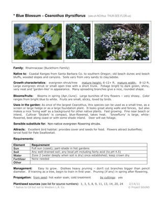 * Blue Blossum – Ceanothus thyrsiflorus

(see-uh-NO-thus THUR-SEE-FLOR-us)

Family: Rhamnaceae (Buckthorn Family)
Native to: Coastal Ranges from Santa Barbara Co. to southern Oregon; old beach dunes and beach
bluffs, wooded slopes and canyons. Soils vary from very sandy to clay/adobe.

Growth characteristics: evergreen shrub/tree

mature height: 6-12+ ft. mature width: 8-12 ft.
Large evergreen shrub or small open tree with a short trunk. Foliage bright to dark green, shiny,
very neat and ‘garden-like’ in appearance. Many spreading branches give a nice, rounded shape.
Blooms in spring (Apr./June). Large bunches of tiny flowers – very showy. Color
ranges from bright blue to white. Fruits are small, sticky, loved by birds.

Blooms/fruits:

Uses in the garden: As once of the largest Ceanothus, this species can be used as a small tree, as a

screen or large hedge or as a large foundation plant. It looks great along walls and fences, but also
makes a nice ‘living wall’ as a background for other native plants. Fast growing. Fine near beach or
inland. Cultivar ‘Skylark’ is compact, blue-flowered, takes heat. ‘Snowflurry’ is large, whiteflowered, best along coast or with some shade inland. Deer will eat foliage.

Sensible substitute for: Non-native evergreen flowering shrubs.
Attracts: Excellent bird habitat: provides cover and seeds for food. Flowers attract butterflies;
larval food for Pale Swallowtail.

Requirements:
Element
Sun
Soil
Water
Fertilizer
Other

Requirement

Full sun (coast); part-shade in hot gardens
Any well-drained soil; any local pH including fairly acid (to pH 4.5)
Zone 2 (water deeply when soil is dry) once established; keep crown dry
None needed

Easy to grow. Dislikes heavy pruning – don’t cut branches bigger than pencil
diameter. If training as a tree, begin to train in first year. Pruning (if any) in spring after flowering.

Management:

Propagation: from seed: hot water soak; cold treatment

by cuttings: yes

Plant/seed sources (see list for source numbers): 1, 3, 5, 8, 9, 11, 13, 14, 20, 24
* Native to CA but not to Western L.A. Co.

2/14/11
© Project SOUND

 