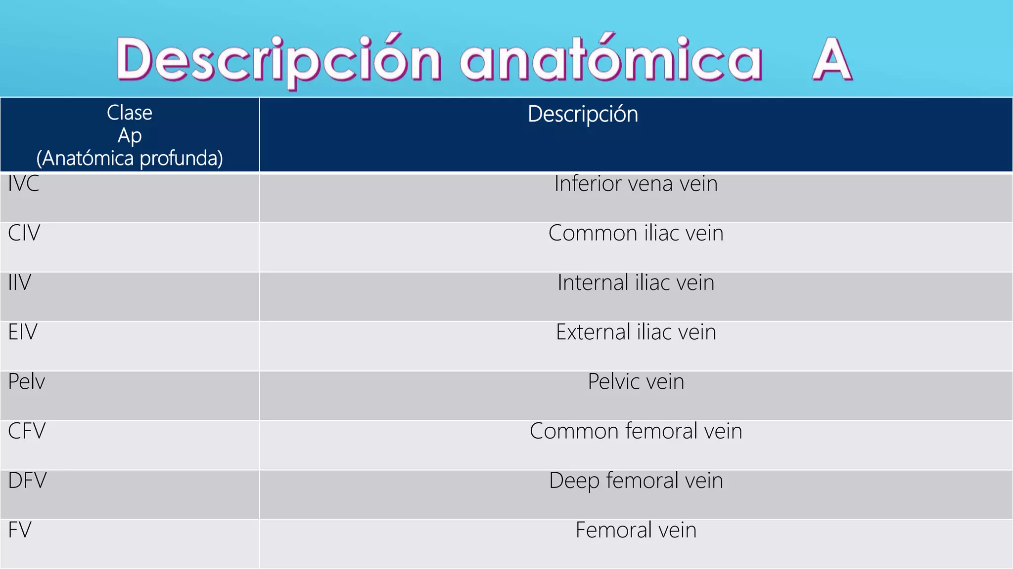 Clasificacion Ceap para varices | PPTX