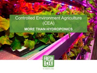 Controlled Environment Agriculture
(CEA)
MORE THAN HYDROPONICS
 