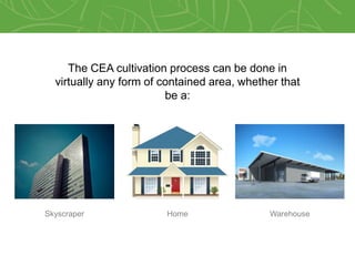 Controlled Environment Agriculture (CEA): More than Hydroponics | PPTX
