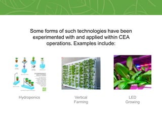 Controlled Environment Agriculture (CEA): More than Hydroponics | PPTX