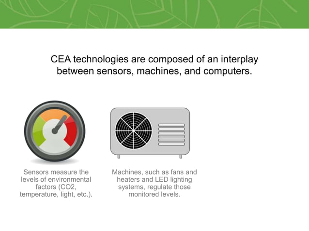 Controlled Environment Agriculture (CEA): More than Hydroponics | PPTX ...