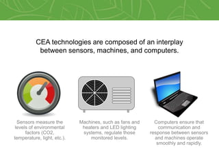 Controlled Environment Agriculture (CEA): More than Hydroponics | PPTX