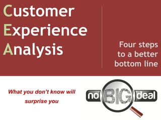 Customer
Experience
                             Four steps
Analysis                    to a better
                           bottom line


What you don’t know will
     surprise you
 