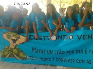 GINCANA
 