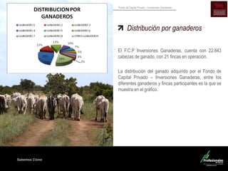 Sabemos Cómo
Fondo de Capital Privado – Inversiones Ganaderas
Distribución por ganaderos
El F.C.P Inversiones Ganaderas, cuenta con 22.843
cabezas de ganado, con 21 fincas en operación.
La distribución del ganado adquirido por el Fondo de
Capital Privado – Inversiones Ganaderas, entre los
diferentes ganaderos y fincas participantes es la que se
muestra en el gráfico.
 