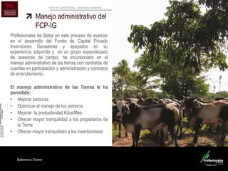 Sabemos Cómo
Fondo de Capital Privado – Inversiones Ganaderas
Manejo administrativo del
FCP-IG
Profesionales de Bolsa en este proceso de avanzar
en el desarrollo del Fondo de Capital Privado
Inversiones Ganaderas y apoyados en su
experiencia adquirida y en un grupo especializado
de asesores de campo, ha incursionado en el
manejo administrativo de las tierras con contratos de
cuentas en participación y administración y contratos
de arrendamiento.
El manejo administrativo de las Tierras le ha
permitido:
• Mejorar pasturas
• Optimizar el manejo de los potreros
• Mejorar la productividad Kilos/Mes
• Ofrecer mayor tranquilidad a los propietarios de
la Tierra
• Ofrecer mayor tranquilidad a los inversionistas
 