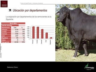 Sabemos Cómo
Fondo de Capital Privado – Inversiones Ganaderas
Ubicación por departamentos
La asignación por departamentos de los semovientes es la
Siguiente:
Dic 31 2014
Total No Animales
Departamento Total %
Antioquia 6.740 30%
Cordoba 6.619 30%
Casanare 5.582 25%
cesar 2.897 13%
Magdalena 455 2%
Tolima 45 0%
Total general 22.338 100%
0
1.000
2.000
3.000
4.000
5.000
6.000
7.000
Antioquia
Cordoba
Casanare
Cesar
Magdalena
 