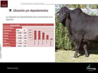 Sabemos Cómo
Fondo de Capital Privado – Inversiones Ganaderas
Ubicación por departamentos
La asignación por departamentos de los semovientes es la
Siguiente:
 