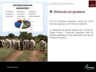 Sabemos Cómo
Fondo de Capital Privado – Inversiones Ganaderas
Distribución por ganaderos
El F.C.P Inversiones Ganaderas, cuenta con 21.515
cabezas de ganado, con 21 fincas en operación.
La distribución del ganado adquirido por el Fondo de
Capital Privado – Inversiones Ganaderas, entre los
diferentes ganaderos y fincas participantes es la que se
muestra en el gráfico.
 