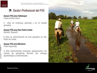 Sabemos Cómo
Fondo de Capital Privado – Inversiones Ganaderas
Gestor Profesional del FIG
Asesor FIG zona Valledupar
Carlos Andrés Sierra
4 años en empresas agrícolas y en el manejo
ganadero.
Asesor FIG zona San Pedro Urabá
Gerardo Baqueth
6 años en administración de hato ganadero en San
Pedro de Urabá.
Asesor FIG zona Montería
Víctor Argumeda
4 años administrando empresas agropecuarias con
manejo de ganaderías Bovinas con enfoque
agroecológico y sistematizado.
 