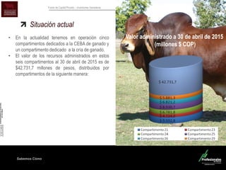 Sabemos Cómo
Fondo de Capital Privado – Inversiones Ganaderas
Situación actual
• En la actualidad tenemos en operación cinco
compartimentos dedicados a la CEBA de ganado y
un compartimento dedicado a la cría de ganado.
• El valor de los recursos administrados en estos
seis compartimentos al 30 de abril de 2015 es de
$42.731,7 millones de pesos, distribuidos por
compartimentos de la siguiente manera:
Valor administrado a 30 de abril de 2015
(millones $ COP)
 