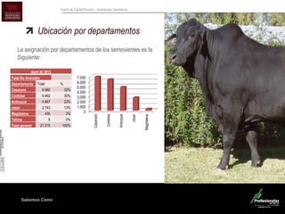 Sabemos Cómo
Fondo de Capital Privado – Inversiones Ganaderas
Ubicación por departamentos
La asignación por departamentos de los semovientes es la
Siguiente:
0
1.000
2.000
3.000
4.000
5.000
6.000
7.000
Casanare
Cordoba
Antioquia
cesar
Magdalena
Abril 30 2015
Total No Animales
Departamento Total %
Casanare 6.980 32%
Cordoba 6.462 30%
Antioquia 4.887 23%
cesar 2.743 13%
Magdalena 435 2%
Tolima 8 0%
Total general 21.515 100%
 