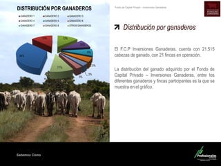 Sabemos Cómo
Fondo de Capital Privado – Inversiones Ganaderas
Distribución por ganaderos
El F.C.P Inversiones Ganaderas, cuenta con 21.515
cabezas de ganado, con 21 fincas en operación.
La distribución del ganado adquirido por el Fondo de
Capital Privado – Inversiones Ganaderas, entre los
diferentes ganaderos y fincas participantes es la que se
muestra en el gráfico.
34%
13% 13%
10%
8%
5%
3%
3%
11%
DISTRIBUCIÓN POR GANADEROS
GANADERO 1 GANADERO 2 GANADERO 3
GANADERO 4 GANADERO 5 GANADERO 6
GANADERO 7 GANADERO 8 OTROS GANADEROS
 