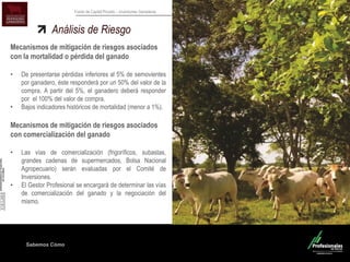 Sabemos Cómo
Fondo de Capital Privado – Inversiones Ganaderas
Análisis de Riesgo
Mecanismos de mitigación de riesgos asociados
con la mortalidad o pérdida del ganado
• De presentarse pérdidas inferiores al 5% de semovientes
por ganadero, éste responderá por un 50% del valor de la
compra. A partir del 5%, el ganadero deberá responder
por el 100% del valor de compra.
• Bajos indicadores históricos de mortalidad (menor a 1%).
Mecanismos de mitigación de riesgos asociados
con comercialización del ganado
• Las vías de comercialización (frigoríficos, subastas,
grandes cadenas de supermercados, Bolsa Nacional
Agropecuario) serán evaluadas por el Comité de
Inversiones.
• El Gestor Profesional se encargará de determinar las vías
de comercialización del ganado y la negociación del
mismo.
 