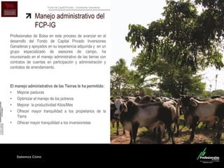 Sabemos Cómo
Fondo de Capital Privado – Inversiones Ganaderas
Manejo administrativo del
FCP-IG
Profesionales de Bolsa en este proceso de avanzar en el
desarrollo del Fondo de Capital Privado Inversiones
Ganaderas y apoyados en su experiencia adquirida y en un
grupo especializado de asesores de campo, ha
incursionado en el manejo administrativo de las tierras con
contratos de cuentas en participación y administración y
contratos de arrendamiento.
El manejo administrativo de las Tierras le ha permitido:
• Mejorar pasturas
• Optimizar el manejo de los potreros
• Mejorar la productividad Kilos/Mes
• Ofrecer mayor tranquilidad a los propietarios de la
Tierra
• Ofrecer mayor tranquilidad a los inversionistas
 