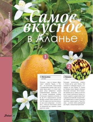 Аланья
Самое
вкусное
в Аланье
1. Апельсины
	portakal
Апельсин — один из главных «фрук-
товых» символов Турции, и Ала-
нья  — не  исключение. Апельсиновые
и мандариновые деревья здесь растут
прямо вдоль дорог, а в сезон созре-
вания улицы прибрежных городов
Средиземноморья буквально усея-
ны спелыми оранжевыми плодами.
В апельсине содержатся витамины А,
В1, В2, РР и микроэлементы магний,
фосфор, натрий, калий, кальций и же-
лезо. Но главное достоинство апельси-
на, как и всех цитрусовых — это вита-
мин С. Апельсин благотворно влияет
на заживление ран, нарывов, а также
укрепляет нервы.
2. Бананы
	muz
Благодаря тропическому климату
в Аланье растут даже бананы. Они
отличаются особенным вкусом и по-
пулярны во всей Турции. От Аланьи
до Анамура можно увидеть огромные
банановые плантации. Часто банано-
вые деревья растут прямо на участках
возле жилых комплексов. Бананы по-
могают справится с депрессиями. В них
содержится витамин В6, который помо-
гает вырабатывать в нашем организме
серотонин, гормон радости. Также ба-
наны — источник калия, необходимый
для людей с повышенным давлением.
2
1
34
 