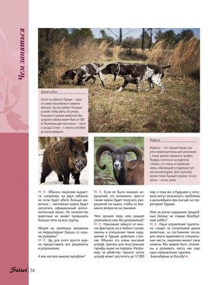 Чемзаняться
74
М. К.: Обычно лицензия выдает-
ся, например, на двух кабанов,
но если будет убито больше жи-
вотных — охотникам нужно будет
заплатить официальный допол-
нительный взнос. Но количество
животных не может превышать
больше пяти на всю группу.
Могут ли охотники въезжать
на территорию Турции со свои-
ми ружьями?
М. К.: Да, для этого просто нуж-
но предоставить все документы
и разрешения.
А как насчет вывоза трофеев?
лир, к тому же, в будущем у чело-
века могут возникнуть проблемы
в дальнейшем при въезде на тер-
риторию Турции.
Нет ли риска нарушить природ-
ный баланс не самым безобид-
ным хобби?
М. К.: Наше управление тщатель-
но следит за популяцией диких
животных, за состоянием лесов,
для охоты выделяются специаль-
ные места, лицензии имеют свои
лимиты. Мы можем быть спокой-
ны и развивать охоту как еще
одно направление туризма.
Благодарим за беседу!
Муфлон
Муфлон — это горный баран, чьи
рога привлекательны для охотников
с точки зрения завидного трофея.
Правда, охотиться на муфлона
сложно, это очень осторожный
зверь, обитающий в труднодоступ-
ных высокогорьях. Для стрельбы
нужно точно бьющее оружие. Сезон
охоты — осень, зима.
М. К.: Если не было никаких на-
рушений, это возможно, просто
также нужно будет получить раз-
решение на вывоз, чтобы не воз-
никло вопросов на таможне.
Что грозит тем, кто решит
охотиться сам, без разрешений?
М. К.: Наказание зависит от мно-
гих факторов, но в любом случае,
законы в отношении таких нару-
шений в Турции довольно стро-
гие. Обычно это очень высокий
штраф, причем для иностранцев
тарифы выше на порядок. Напри-
мер, за  убийство горного козла
штраф может достигать до 12 000
Дикий кабан
Охота на кабана в Турции — одна
из самых популярных и захваты-
вающих, так как требует больших
усилий, чтобы убить это умное,
большое и сильное животное. Вес
среднего кабана может быть от 300
кг. Возможно два типа охоты — загон
и засада. Сезон — с начала сентября
до конца февраля.
 