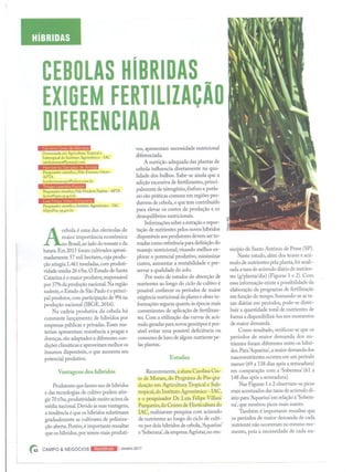 Cebolas Híbridas Exigem Fertilização Diferenciada