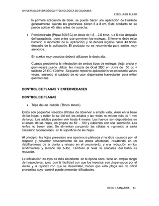 UNIVERSIDADPEDAGÓGICA Y TECNOLÓGICA DE COLOMBIA
CEBOLLA DE BULBO
DIEGO I. SANABRIA 13
la primera aplicación de Goal, se puede hacer una aplicación de Fusilade
generalmente cuando las gramíneas tienen 5 a 8 cm. Este producto no se
puede aplicar 45 días antes de cosecha.
 Pendimethalin (Prowl 500 EC) en dosis de 1.5 – 2.5 lt/mz, 4 a 5 días después
del transplante, pero antes que germinen las malezas. El terreno debe estar
húmedo al momento de su aplicación; y no deberá regarse hasta 48 horas
después de la aplicación. El producto no se recomienda para suelos muy
arenosos.
En suelos muy pesados deberá utilizarse la dosis alta.
Cuando predomina la infestación de ambos tipos de malezas (hoja ancha y
gramíneas) puede utilizar las mezcla de Goal 2EC en dosis de 50 cc +
fusilade 25 EC 1.0 lt/mz. Se puede repetir la aplicación si es necesario varias
veces, teniendo el cuidado de no usar dispersante humectante para evitar
quemaduras.
CONTROL DE PLAGAS Y ENFERMEDADES
CONTROL DE PLAGAS
 Trips de una cebolla (Thrips tabaci)
Estos son pequeños insectos difíciles de observar a simple vista, viven en la base
de las hojas, y evitan la luz del sol, los adultos y las ninfas no miden más de 1 mm
de largo. Los adultos pueden vivir hasta 4 meses. Los huevos son depositados en
el envés de las hojas, en grupos de 50 – 100 y cubiertos con una secreción. Las
ninfas no tienen alas. Se alimentan punzando las células e ingiriendo la savia
causando laceraciones en la superficie de las hojas.
Al principio las hojas presentan una apariencia plateada y hundida causada por el
raspado y posterior desecamiento de las zonas afectadas, resultando en un
debilitamiento de la planta y retraso en el crecimiento, y una reducción en los
rendimientos y tamaño del bulbo. También el nivel de azúcares del bulbo es
reducido.
La infestación de trips es más abundante en la época seca, tiene un amplio rango
de hospederos, junto con la facilidad con que los insectos son dispersados por el
viento y la rapidez con que se desarrollan, hacen que esta plaga sea de difícil
pronóstico cuyo control puede presentar dificultades.
 