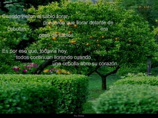 Cuando vieron al sabio llorar,  pensaron que llorar delante de cebollas  era cosa de sabios.  Es por eso que, todavía hoy,  todos continuan llorando cuando  una cebolla abre su corazón. 
