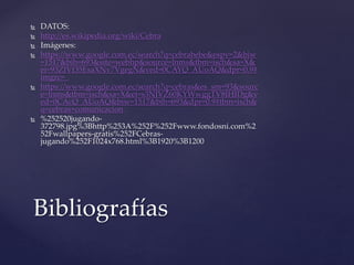  DATOS:
 http://es.wikipedia.org/wiki/Cebra
 Imágenes:
 https://www.google.com.ec/search?q=cebrabebe&espv=2&biw
=1517&bih=693&site=webhp&source=lnms&tbm=isch&sa=X&
ei=93ZJVf35EsaXNv7VgegN&ved=0CAYQ_AUoAQ&dpr=0.9#
imgrc=_
 https://www.google.com.ec/search?q=cebras&es_sm=93&sourc
e=lnms&tbm=isch&sa=X&ei=s3NJVZ60KYWwggTV8IHIDg&v
ed=0CAcQ_AUoAQ&biw=1517&bih=693&dpr=0.9#tbm=isch&
q=cebras+comunicacion
 %252520jugando-
372798.jpg%3Bhttp%253A%252F%252Fwww.fondosni.com%2
52Fwallpapers-gratis%252FCebras-
jugando%252F1024x768.html%3B1920%3B1200
Bibliografías
 