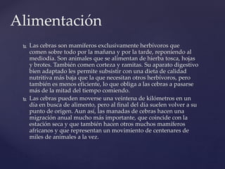  Las cebras son mamíferos exclusivamente herbívoros que
comen sobre todo por la mañana y por la tarde, reponiendo al
mediodía. Son animales que se alimentan de hierba tosca, hojas
y brotes. También comen corteza y ramitas. Su aparato digestivo
bien adaptado les permite subsistir con una dieta de calidad
nutritiva más baja que la que necesitan otros herbívoros, pero
también es menos eficiente, lo que obliga a las cebras a pasarse
más de la mitad del tiempo comiendo.
 Las cebras pueden moverse una veintena de kilómetros en un
día en busca de alimento, pero al final del día suelen volver a su
punto de origen. Aun así, las manadas de cebras hacen una
migración anual mucho más importante, que coincide con la
estación seca y que también hacen otros muchos mamíferos
africanos y que representan un movimiento de centenares de
miles de animales a la vez.
Alimentación
 