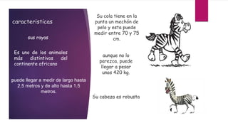 caracteristicas
sus rayas
Es uno de los animales
más distintivos del
continente africano
puede llegar a medir de largo hasta
2.5 metros y de alto hasta 1.5
metros.
Su cola tiene en la
punta un mechón de
pelo y esta puede
medir entre 70 y 75
cm.
aunque no lo
parezca, puede
llegar a pesar
unos 420 kg.
Su cabeza es robusta