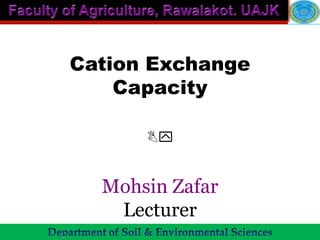 Cation Exchange
    Capacity

      By


  Mohsin Zafar
   Lecturer
 