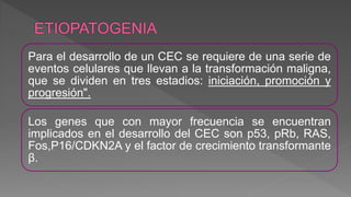Para el desarrollo de un CEC se requiere de una serie de
eventos celulares que llevan a la transformación maligna,
que se dividen en tres estadios: iniciación, promoción y
progresión".
Los genes que con mayor frecuencia se encuentran
implicados en el desarrollo del CEC son p53, pRb, RAS,
Fos,P16/CDKN2A y el factor de crecimiento transformante
β.
 