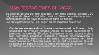 Se originan en una piel foto expuesta y con daño actínico. existen CEC
originados de áreas cicatriciales crónicas, áreas de radiación previa o
pueden aparecer de Novo en cualquier parte del cuerpo.
Los principales tipos de CEC según su presentación clínica son:
 Carcinoma escamocelular in situ o enfermedad de Bowen : baja
posibilidad de invasión maligna, Afecta en forma predominante a
personas mayores de 60 años. Aparece como una pápula o placa
bien delimitada, escamosa, infiltrada a menudo hiperqueratósica, a
veces fisurada, desprovista de pelos, especialmente en áreas
fotoexpuestas,pero también puede ser en piel no expuesta, Cuando
se localiza en pene o vulva, se llama eritroplasia de Queyrat y hasta
un 33% de estos tumores pueden volverse invasores.
 