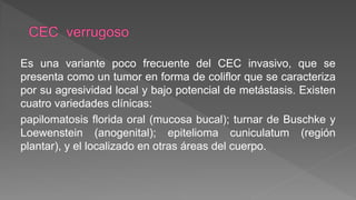 Es una variante poco frecuente del CEC invasivo, que se
presenta como un tumor en forma de coliflor que se caracteriza
por su agresividad local y bajo potencial de metástasis. Existen
cuatro variedades clínicas:
papilomatosis florida oral (mucosa bucal); turnar de Buschke y
Loewenstein (anogenital); epitelioma cuniculatum (región
plantar), y el localizado en otras áreas del cuerpo.
 