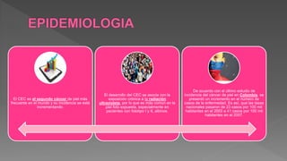El CEC es el segundo cáncer de piel más
frecuente en el mundo y su incidencia se está
incrementando.
El desarrollo del CEC se asocia con la
exposición crónica a la radiación
ultravioleta, por lo que es más común en la
piel foto expuesta, especialmente en
pacientes con fototipo I y II, albinos.
De acuerdo con el último estudio de
incidencia del cáncer de piel en Colombia, se
presentó un incremento en el número de
casos de la enfermedad. Es así, que las tasas
nacionales pasaron de 23 casos por 100 mil
habitantes en el 2003 a 41 casos por 100 mil
habitantes en el 2007.
 