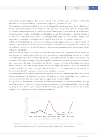 www.cecafe.com.br
Artigo 17
combatendo outros fungos que deterioram o café. E ainda permite o uso na produção industrial de
enzimas, utilizadas em diferentes processos de proteção da qualidade do café.
Tal pesquisa tem sido desenvolvida pela Empresa de Pesquisa Agropecuária de Minas Gerais – Epamig, em
parceria com a Universidade Federal de Lavras – Ufla, contando com apoio do Consórcio Pesquisa Café,
coordenado pela Embrapa Café, e da Fundação de Amparo à Pesquisa do Estado de Minas Gerais – Fapemig.
Outro importante estudo relacionado à identificação e uso de diferentes agentes de controle natural
da broca é o fungo Beauveria bassiana. A aplicação deste fungo tem sido testada a campo, com
resultados consolidados que reforçam a sua viabilidade de aplicação nos campos produtivos.
O bicho-mineiro, Leucoptera coffeella, é uma das principais pragas do cafeeiro, e está presente em
todas as regiões produtoras. Os prejuízos aos cafeeiros ocorrem em consequência da redução da
fotossíntese, causada pelo desenvolvimento das lesões e acentuada pela queda prematura de folhas,
reduzindo a produção.
Por esse motivo, diversas iniciativas a campo têm sido conduzidas, demonstrando os benefícios
promissores aos cafeicultores brasileiros. Como exemplo de pesquisa aplicada, destaca-se o estudo
intitulado “Controle do bicho-mineiro-do-cafeeiro, Leucoptera coffeella por Chrysoperla externa na
cultura do café orgânico na região de Coromandel-MG, apresentou resultados consolidados”, publicado
por Lorena Marta Sangaleti na Faculdade de Ciências Humanas e Sociais da Fundação Carmelitana
Mário Palmério – FUCAMP. Neste trabalho foram observados importantes resultados obtidos do
trabalho realizado em campo que mostraram a eficiência do Chrysoperla externa no controle do
bicho-mineiro-do-cafeeiro quando utilizado como método de controle.
Durante o experimento comparou-se duas áreas distintas de lavouras cafeeiras, separadas uma da outra
em aproximadamente 8 quilômetros, uma de café orgânico e a outra conduzida convencionalmente,
ambas lavouras formadas pela cultivar Catuaí 62, plantados no ano de 2006.
As Figuras 1 e 2 apresentam as avaliações realizadas considerando as variáveis analisadas. Logo na
primeira semana, e mantendo-se dessa forma em grande parte do período analisado, maior pressão
da praga na área com o uso convencional de inseticidas, quando comparado com as áreas onde
apenas foi feita a liberação massal de Chrysoperla externa.
FIGURA 1- COMPARATIVO DO NÚMERO MÉDIO DE ADULTOS DO BICHO-MINEIRO (LEUCOPTERA COFFEELLA) EM ÁREA TRATADA COM LIBERAÇÕES DA
LARVA DE CHRYSOPERLA EXTERNA E DE ÁREA DE CULTIVO CONVENCIONAL TRATADA COM APLICAÇÕES DE INSETICIDAS QUÍMICOS.
 