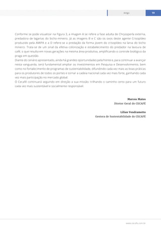 www.cecafe.com.br
Artigo 19
Conforme se pode visualizar na Figura 3, a imagem A se refere a fase adulta de Chrysoperla externa,
predadora de lagartas do bicho-mineiro. Já as imagens B e C são os ovos deste agente Crisopídeo
produzido pela AMIPA e a D refere-se a predação da forma jovem do crisopídeo na larva do bicho
mineiro. Trata-se de um sinal da efetiva colonização e estabelecimento do predador na lavoura de
café, o que resulta em novas gerações na mesma área produtiva, amplificando o controle biológico da
praga em questão.
Diante do cenário apresentado, ainda há grandes oportunidades pela frente e, para continuar a avançar
nesta vanguarda, será fundamental ampliar os investimentos em Pesquisa e Desenvolvimento, bem
como no fortalecimento de programas de sustentabilidade, difundindo cada vez mais as boas práticas
para os produtores de todos os portes e tornar a cadeia nacional cada vez mais forte, ganhando cada
vez mais participação no mercado global.
O Cecafé continuará seguindo em direção a sua missão: trilhando o caminho certo para um futuro
cada vez mais sustentável e socialmente responsável.
Marcos Matos
Diretor Geral do CECAFÉ
Lilian Vendrametto
Gestora de Sustentabilidade do CECAFÉ
 