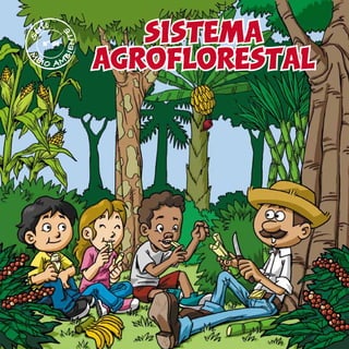 sistema
agroflorestal
M
EIO AMBIENTE
Nº 06
 
